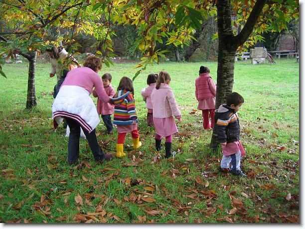 Diapositiva siguiente